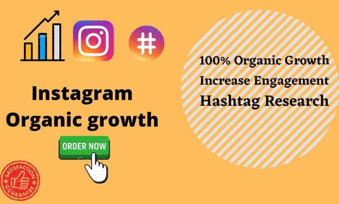 buy Instagram followers